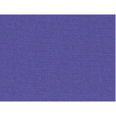 КОРЮК Шпалери гарячого тисн. на фліз.основі В107-1Ф Столиця L488 03 1.05х10.06м