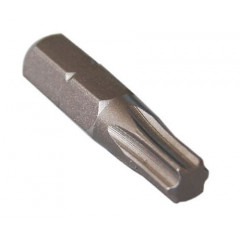 WORK'S Набір біт 2шт TORX30x25.131T30А