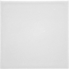 АТЕМ Плитка обл. глаз. PARMA W 100*100 1г.