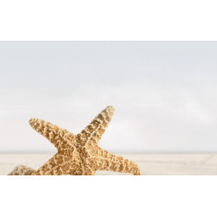 ГОЛДЕН ТАЙЛ Декор SUMMER STONE Holiday В41331 250х400мм