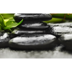 ГОЛДЕН ТАЙЛ Декор RELAX зел.№4 250х400мм