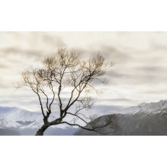 ГОЛДЕН ТАЙЛ Декор WANAKA беж.№3 250*400