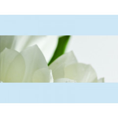 АТЕМ Декор для плитки YALTA 2 Tulip W 200х500мм