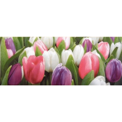 АТЕМ Декор для плитки YALTA Tulip Mini PN 200х500мм