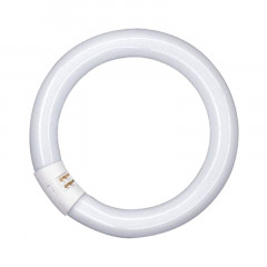OSRAM Лампа люмінесцентна Circle 22W / 865 G10Q