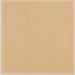 АТЕМ Плитка IMOLA B 100x100