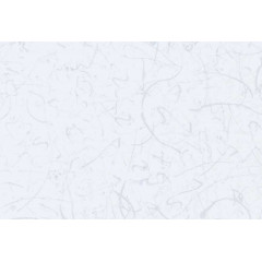 RIKO Панель ПВХ D 06.26 "Абстракція" 250х3000х8мм