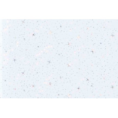 RIKO Панель ПВХ RL 3013 Біла ніч 8*250*3000мм