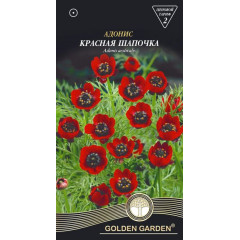 GG Насіння Квіти Адоніс Червона шапочка /1г/