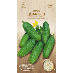НАСІННЯ УКРАЇНИ Огірок ЦЕЗАРЬ F1 0.5